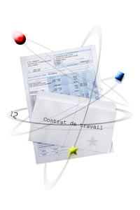image cellule