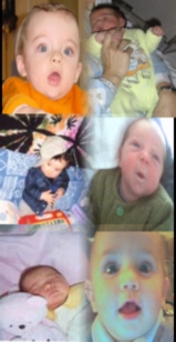 image cellule