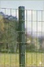 image cellule
