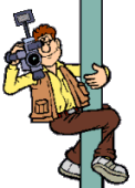 image cellule