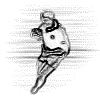 image cellule