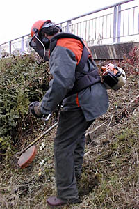 photo du kisomnou