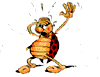 coccinelle