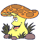image marrante